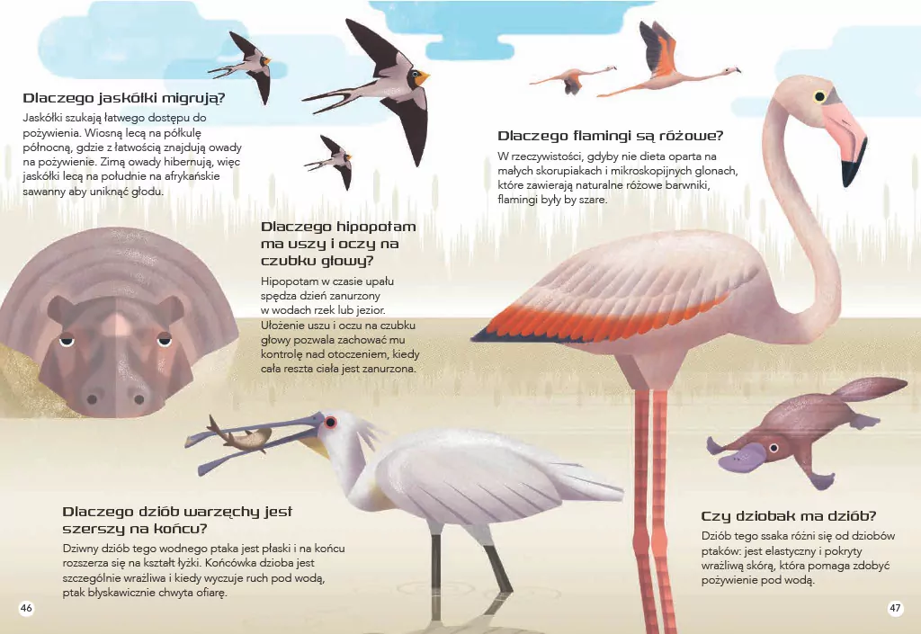 200 ciekawostek. Zwierzęta świata - tantis.pl