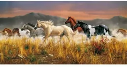 Puzzle 13200 HQ Band of Thunder