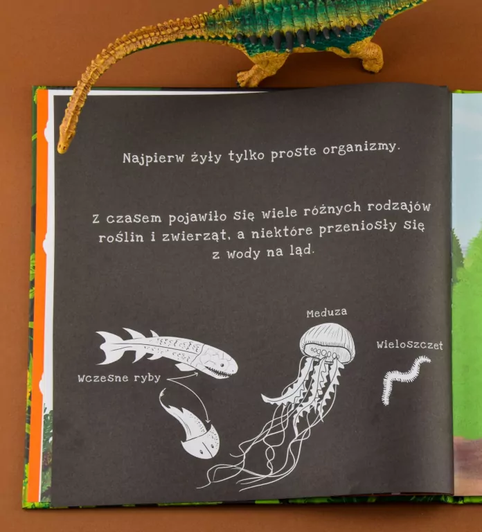 Dinozaury. Podświetl i Odkryj - tantis.pl