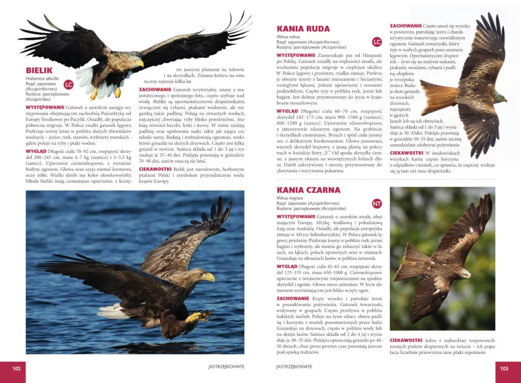 Ptaki Polski - tantis.pl