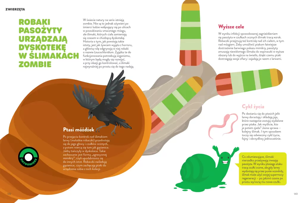 Fuuj, ohyda! - tantis.pl