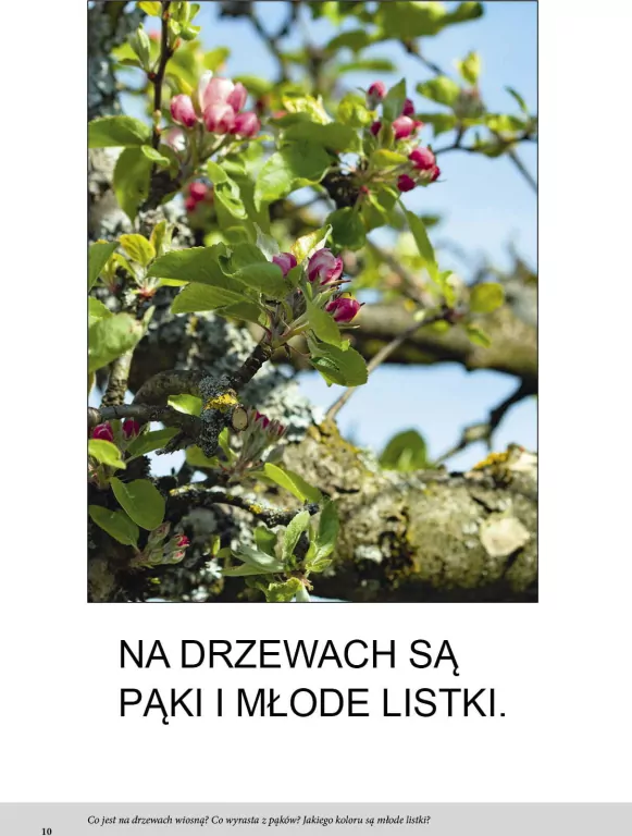 Wiosna. Bardzo proste czytanki dla dzieci - tantis.pl