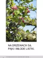 Wiosna. Bardzo proste czytanki dla dzieci - tantis.pl