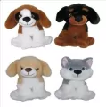 Pies 25cm MIX - tantis.pl