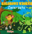 Książeczka kolorowe wzorniki, mix - tantis.pl