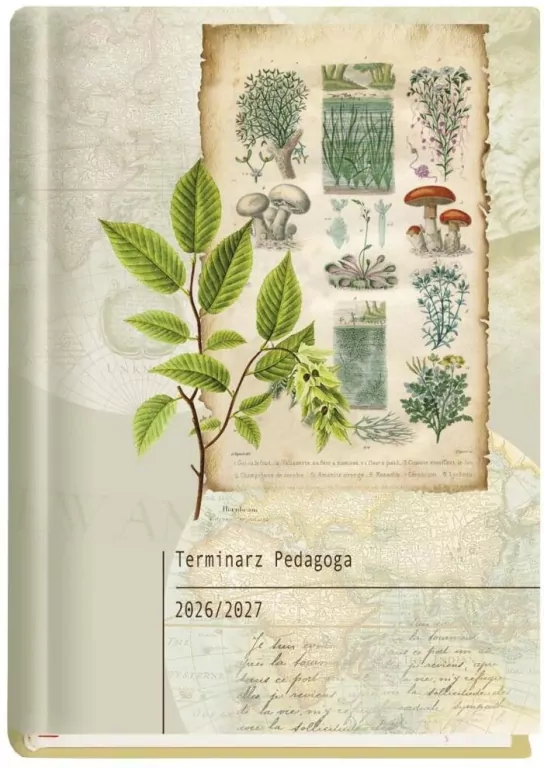 Terminarz Pedagoga 2015/16 Niebieski - tantis.pl