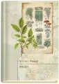 Terminarz Pedagoga 2015/16 Niebieski - tantis.pl