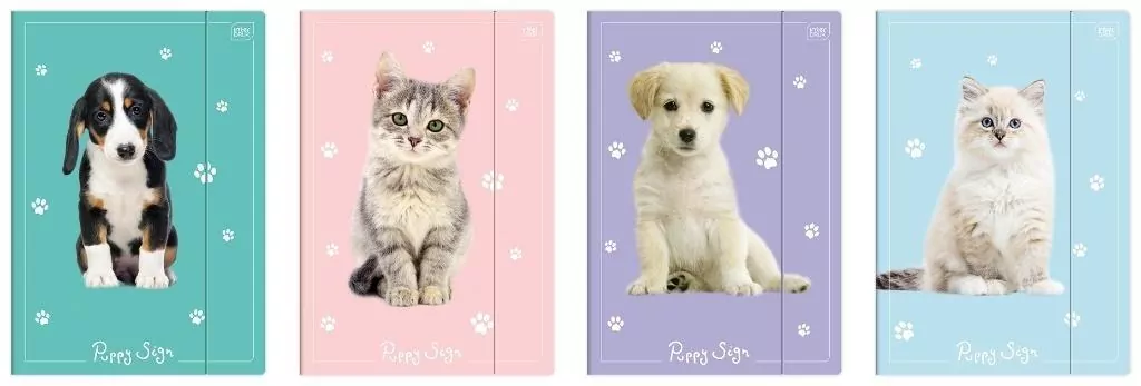 Teczka z gumką A4+ LUX UV Puppy Sign - tantis.pl