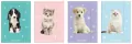 Teczka z gumką A4+ LUX UV Puppy Sign - tantis.pl