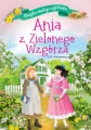 Ania z Zielonego Wzgórza. Klasyka młodego czytelnika - tantis.pl