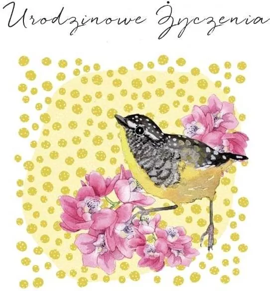 Karnet Swarovski kwadrat CL4502_PO Urodzinowe życz - tantis.pl