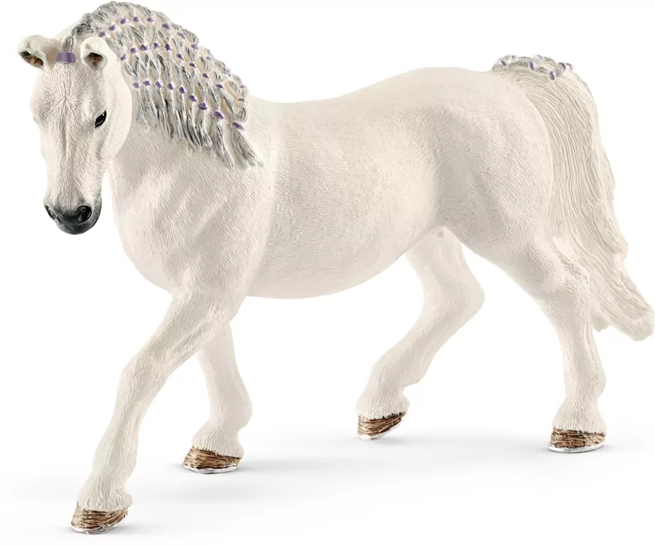 Klacz lipican Horse Club 13819 - tantis.pl