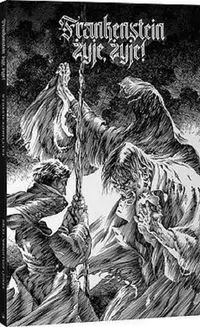 Frankenstein żyje, żyje! - tantis.pl