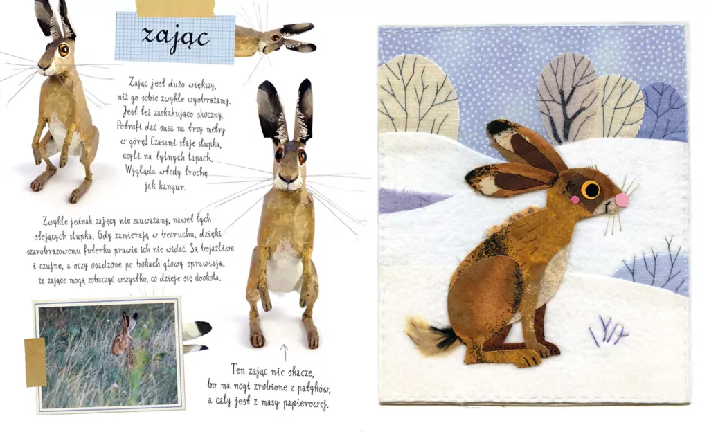 Mały atlas zwierzaków Ewy i Pawła Pawlaków - tantis.pl