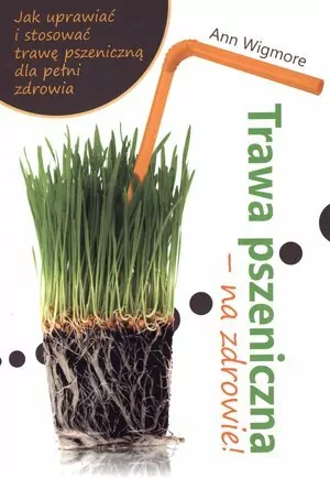 Poprawiamy trawienie. Klucz do optymalnego zdrowia - tantis.pl