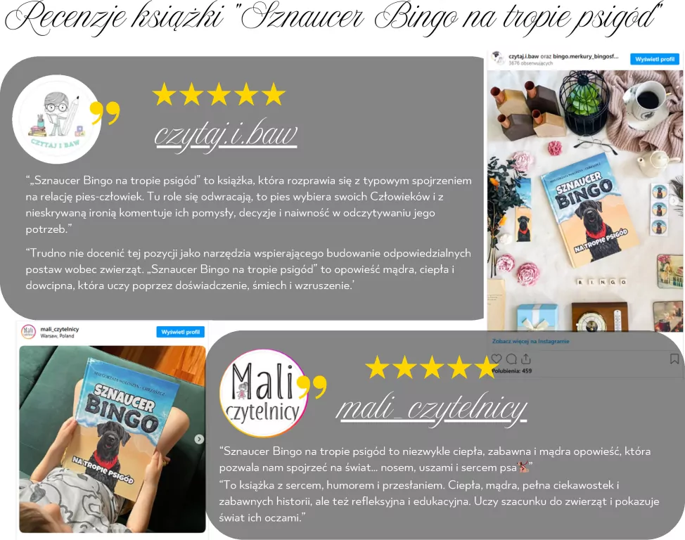 Sznaucer Bingo na tropie psigód - tantis.pl