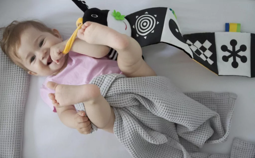 Książeczka do łóżeczka. Króweczka - tantis.pl