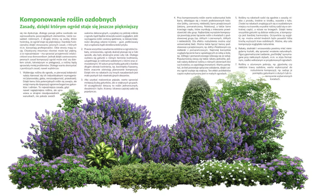 Rośliny ogrodowe. Gatunki kwitnące i ozdobne - tantis.pl