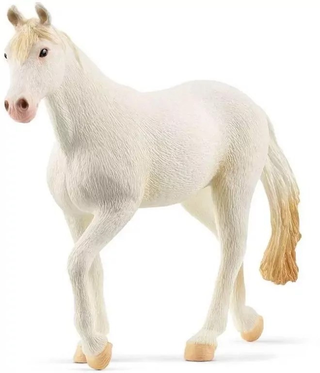 Klacz Rasy Camarillo 13959 - tantis.pl