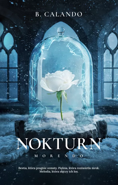 Nokturn - tantis.pl