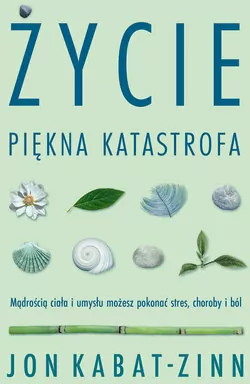 Życie, piękna katastrofa - tantis.pl