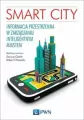 Smart City - tantis.pl