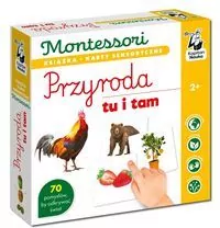 Montessori. Przyroda tu i tam - tantis.pl