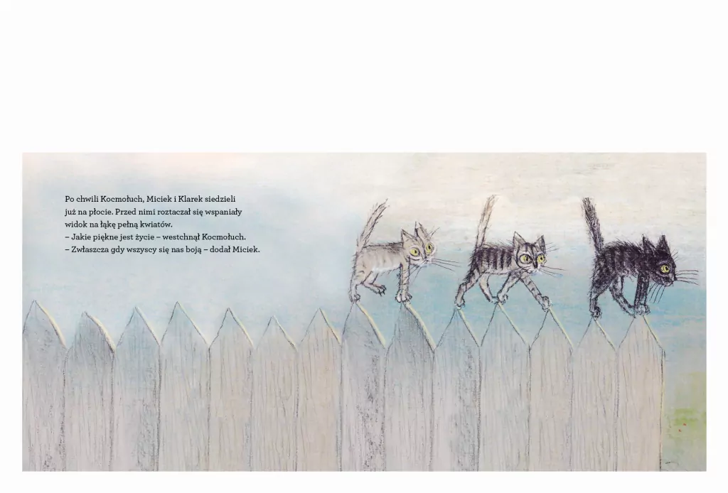 Kocie ścieżki - tantis.pl