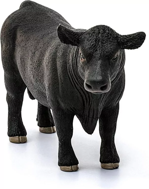 Byk Aberdeen Agnus Farm World 13879 - tantis.pl