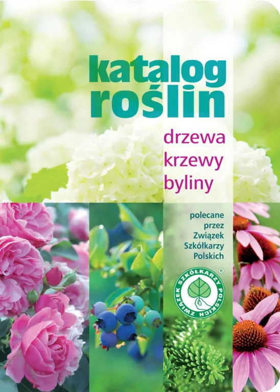 Katalog roślin. Drzewa, krzewy, byliny - tantis.pl