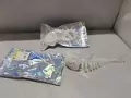 Szkielet ryby świecący w ciemności 20cm MIX - tantis.pl