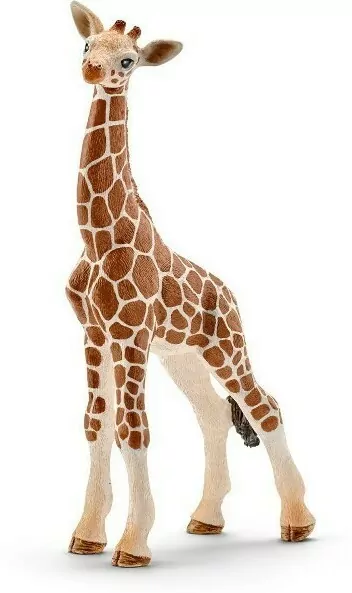 Młoda Żyrafa Wild Life 14751 - tantis.pl