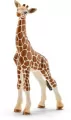 Młoda Żyrafa Wild Life 14751 - tantis.pl