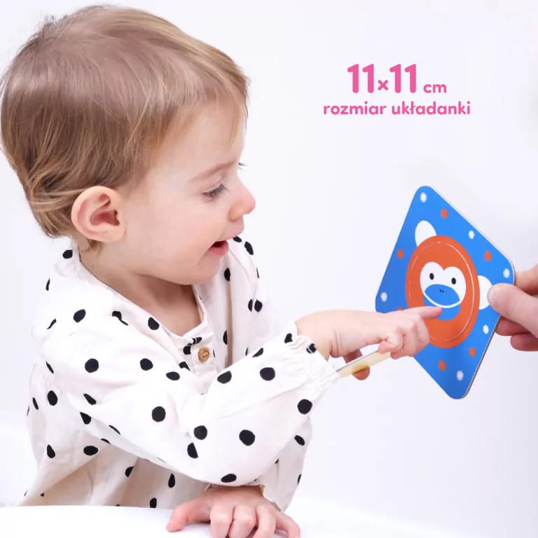 CzuCzu. Odkrywam koło 12m+ - tantis.pl