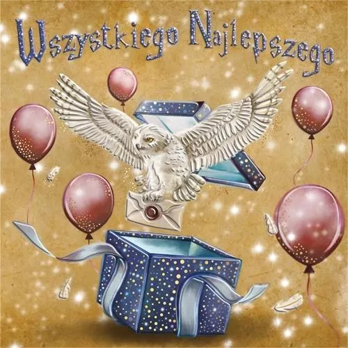 Karnet KW Biała Sowa - tantis.pl