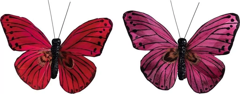 Motyle z klipsem 2szt - tantis.pl