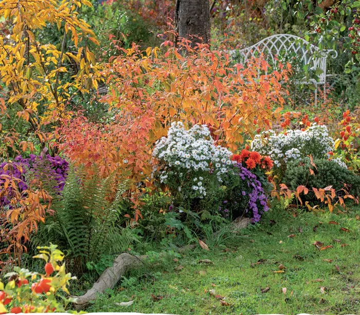 Kalendarz 2026 reklamowy Ogrody rajskie - tantis.pl