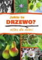 Jakie to drzewo? Atlas dla dzieci - tantis.pl