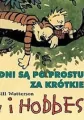 Calvin i Hobbes. Dni są po prostu za krótkie. Tom 8 - tantis.pl