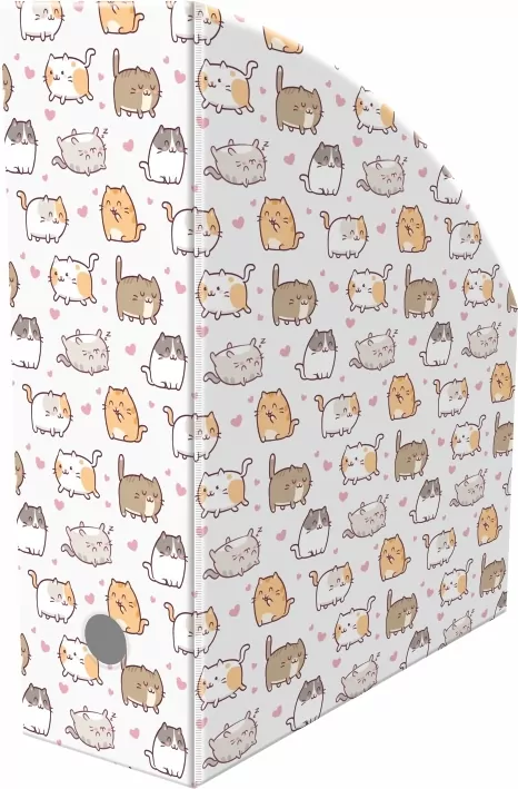 Pojemnik na dokumenty kittens 10cm - tantis.pl