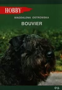 Bouvier - tantis.pl