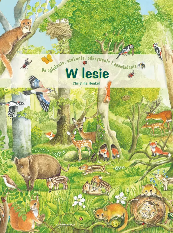 W lesie - tantis.pl
