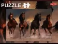 Puzzle 56. Wild Horses - tantis.pl