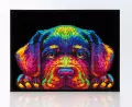 Diamond Dotz - Adults Neon Puppy - tantis.pl