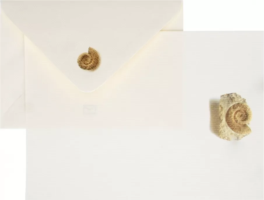 Lobos. Papeteria A5, 3 koperty/3 kartki, ekskluzywna - tantis.pl