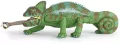 Kameleon - tantis.pl