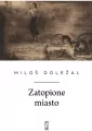 Zatopione miasto - tantis.pl