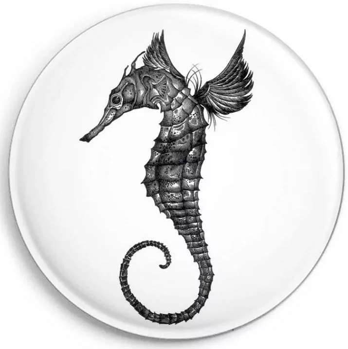 Magnes Konik morski - tantis.pl