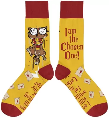 Skarpetki - Wybraniec 37/41