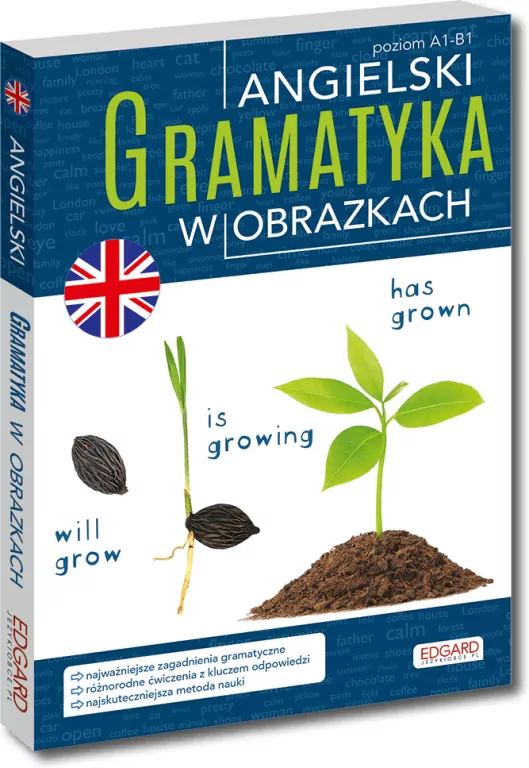 Angielski. Gramatyka w obrazkach - tantis.pl
